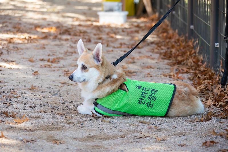 Young-0192.jpg 이미지