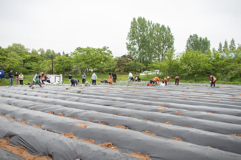 Young-0863.jpg 이미지