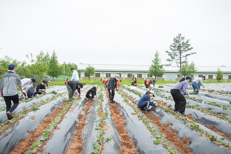 Young-1076.jpg 이미지