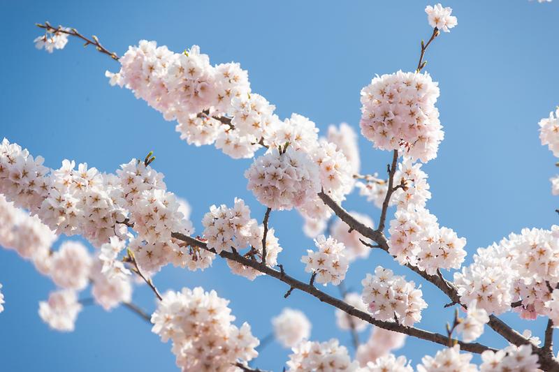 Young-1132.jpg 이미지