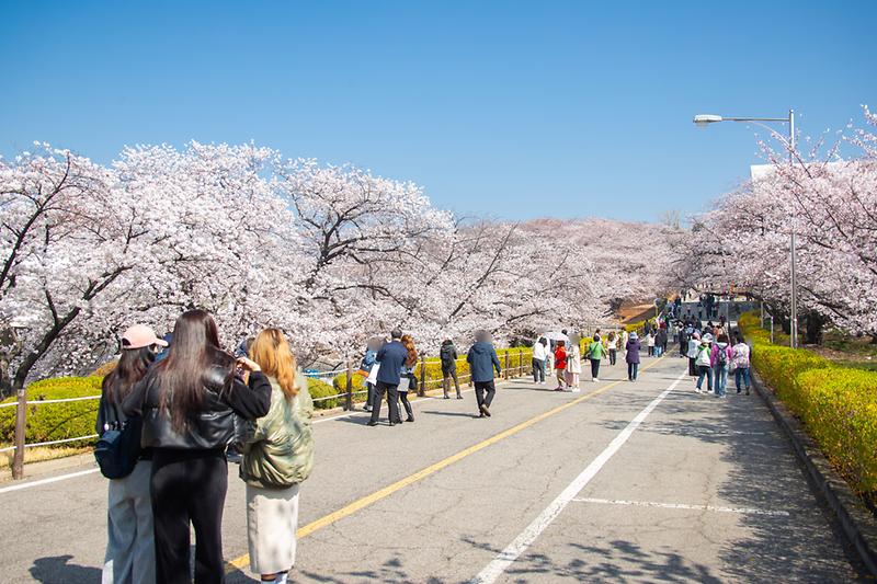 Young-1159.jpg 이미지