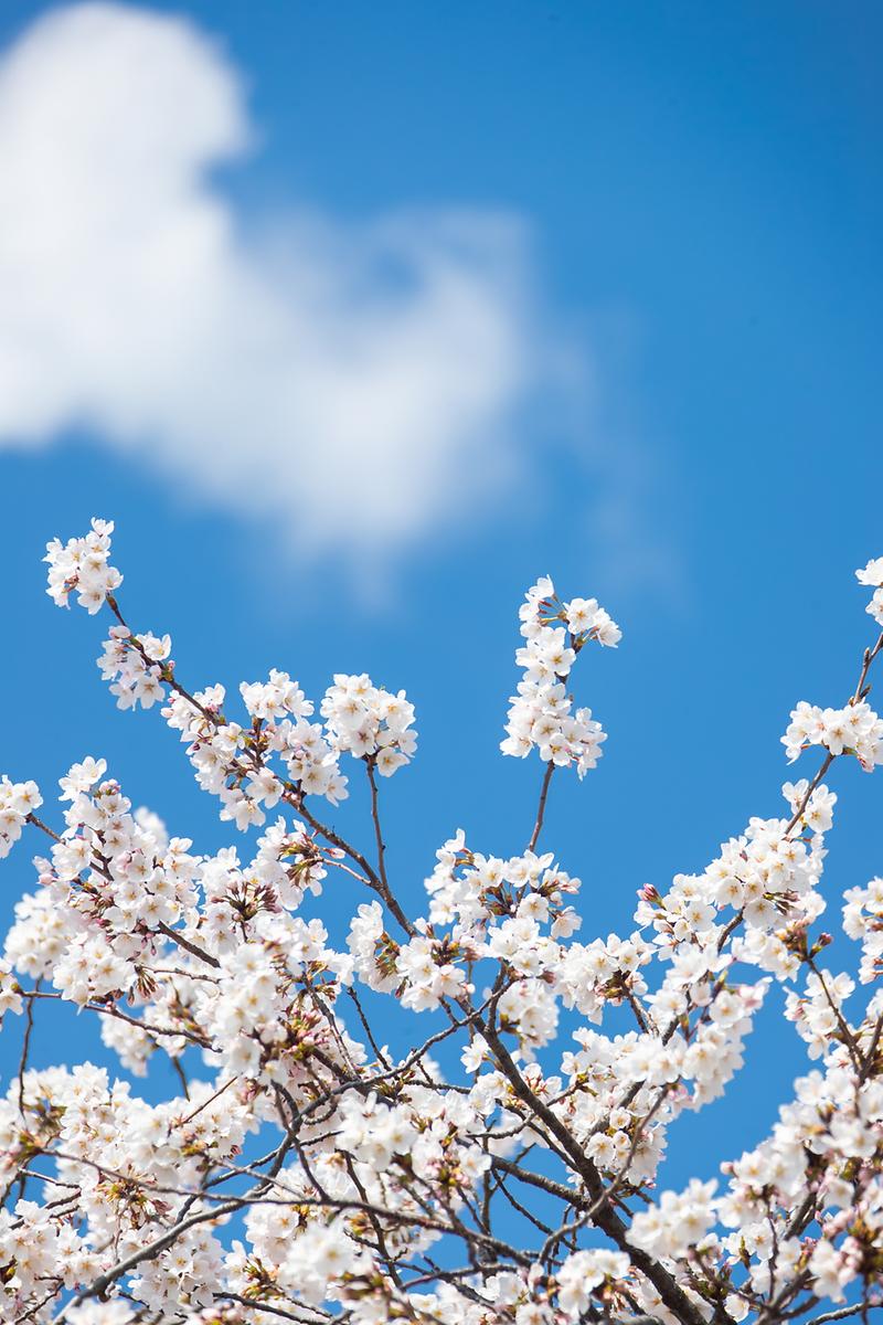 Young-1190.jpg 이미지