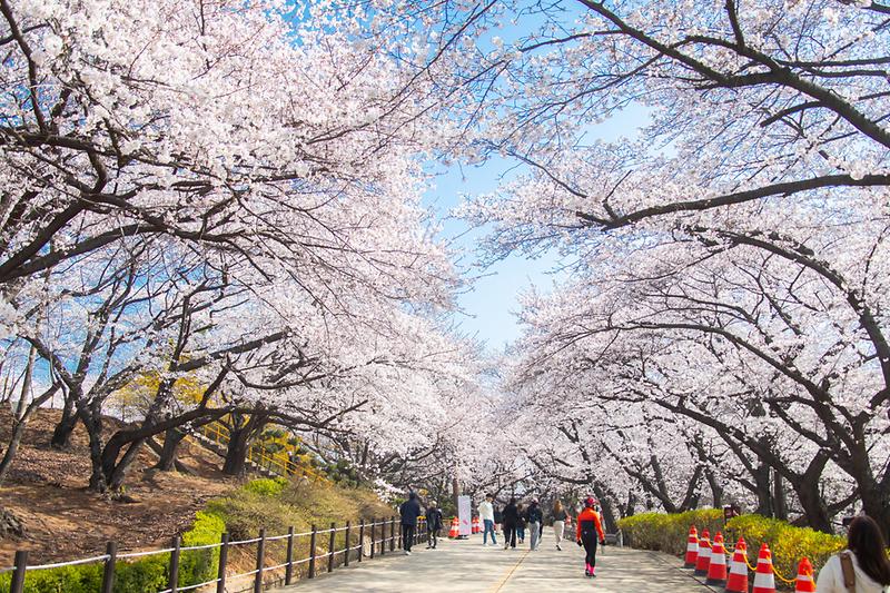 Young-1258.jpg 이미지