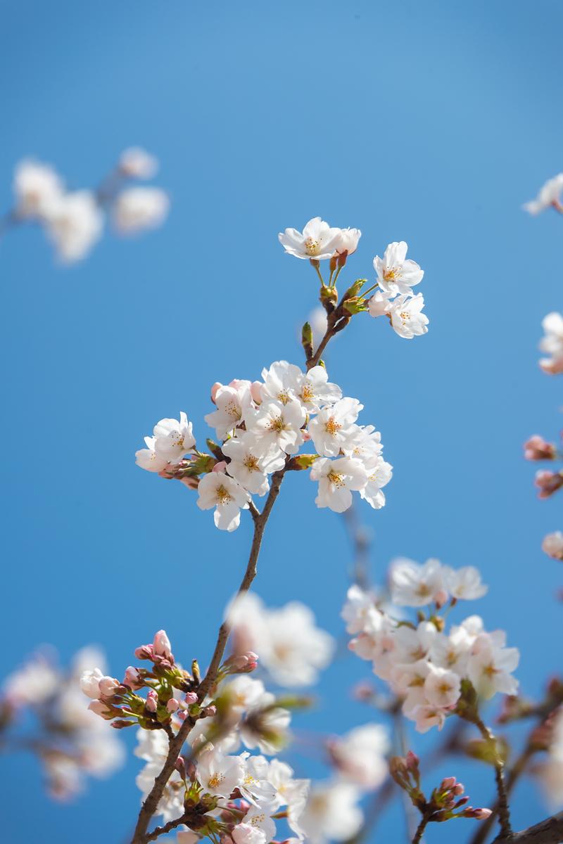 Young-1400.jpg 이미지