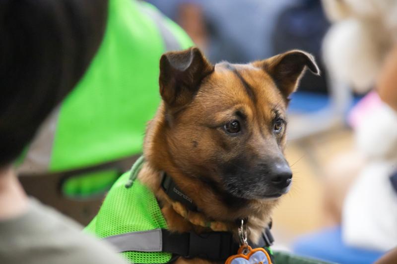 Young-1480.jpg 이미지