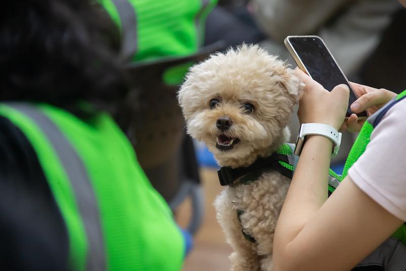 Young-1481.jpg 이미지