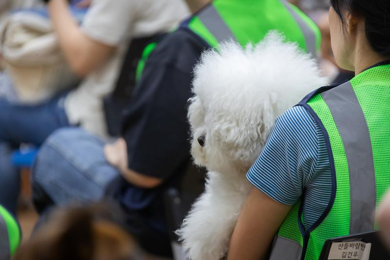 Young-1484.jpg 이미지