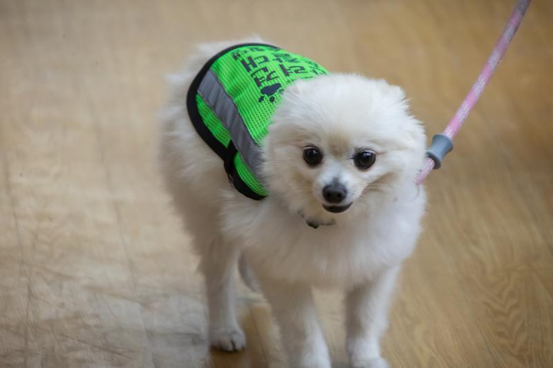 Young-1489.jpg 이미지