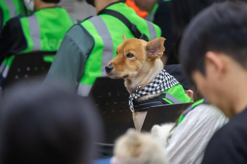 Young-1495.jpg 이미지