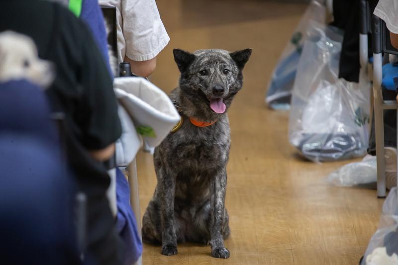 Young-1498.jpg 이미지