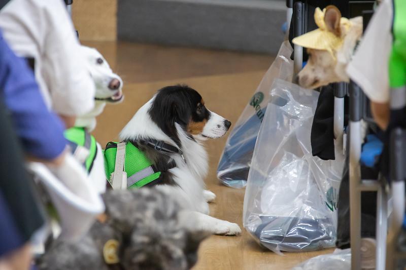 Young-1525.jpg 이미지