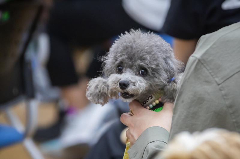 Young-1535.jpg 이미지