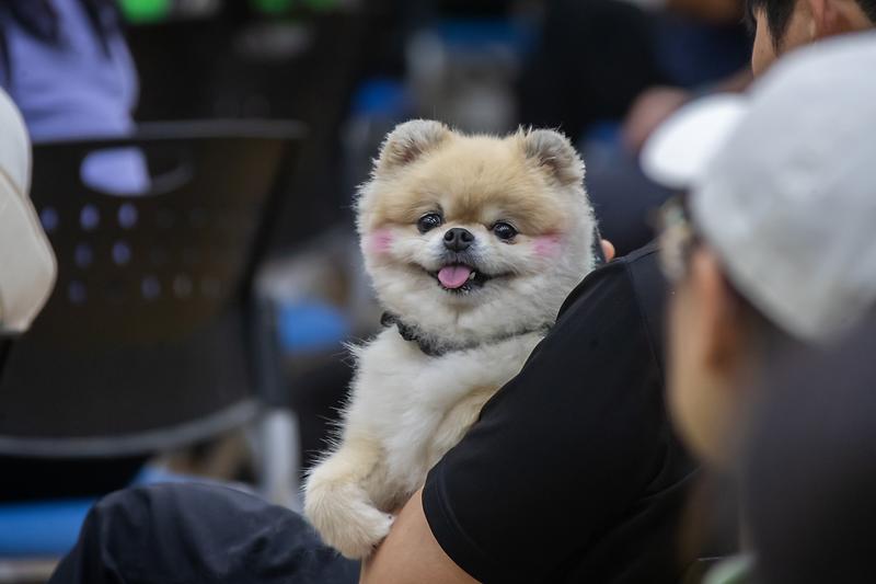 Young-1537.jpg 이미지