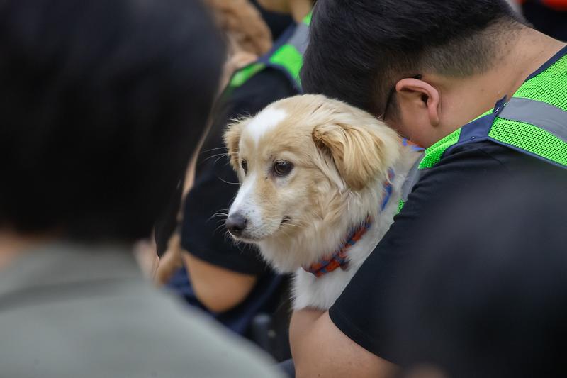 Young-1541.jpg 이미지