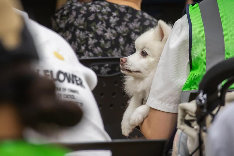 Young-1549.jpg 이미지