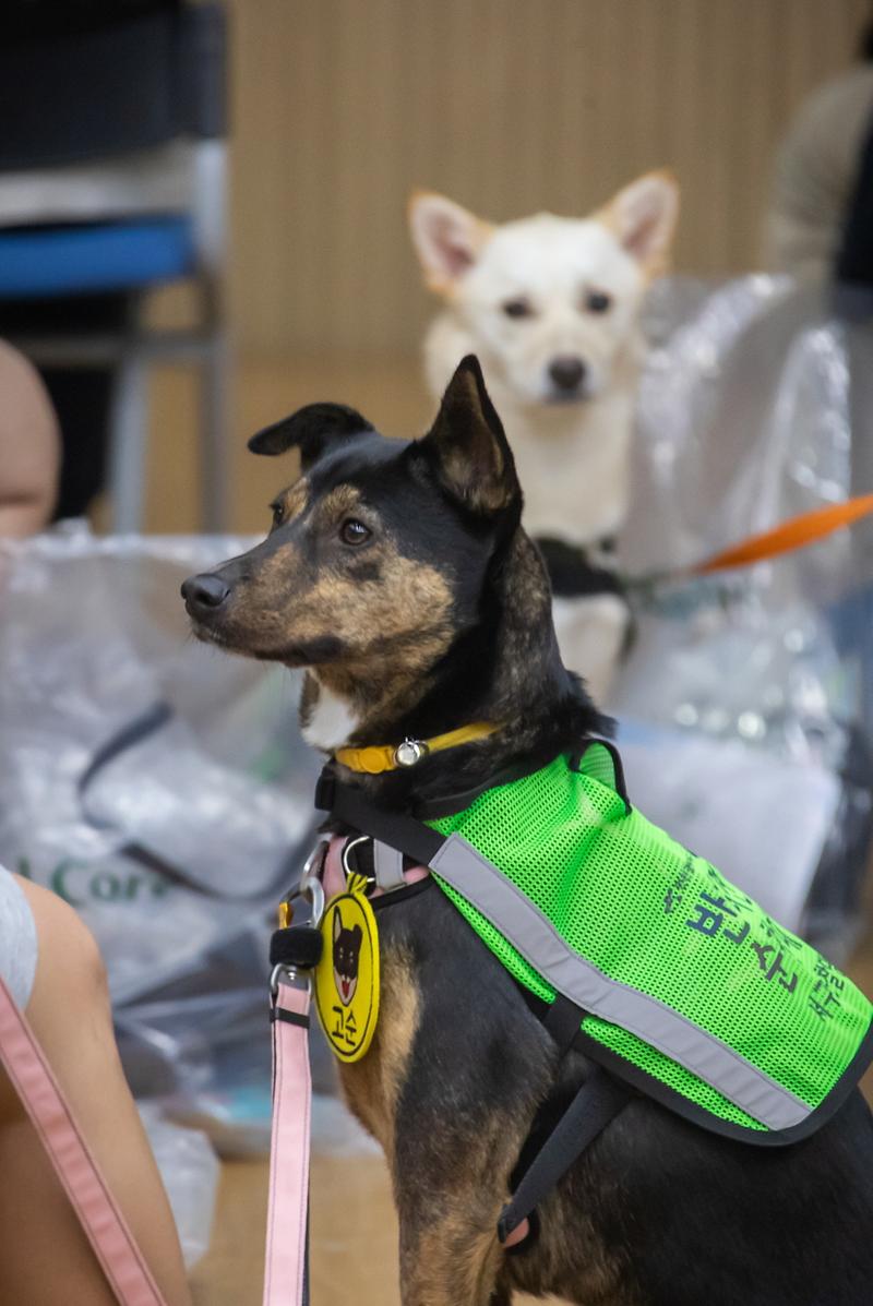 Young-1567.jpg 이미지