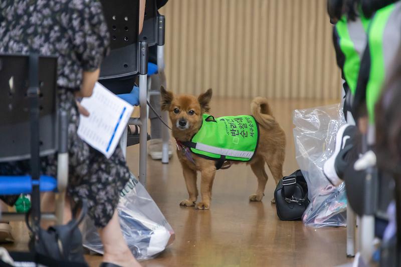 Young-1596.jpg 이미지