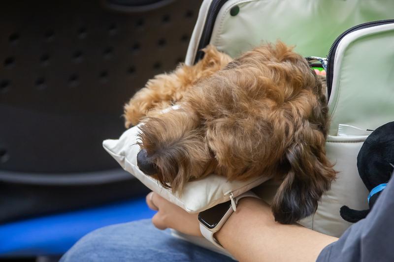 Young-1649.jpg 이미지