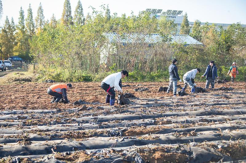 Young-5320.jpg 이미지