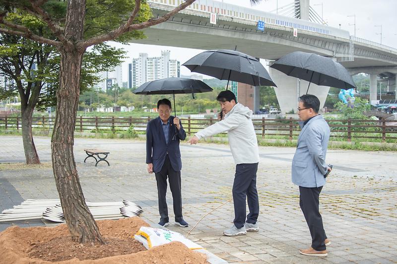 20250919 제37회 구민의 날 시천공원 기념식수 사진