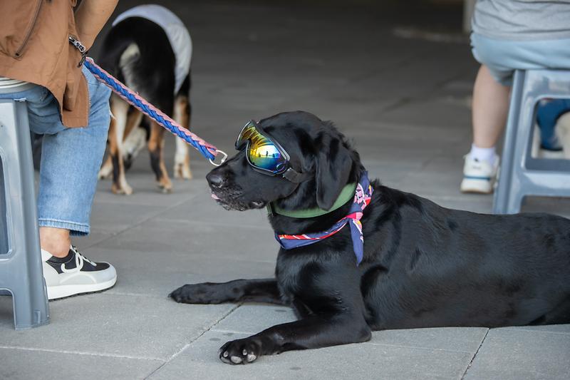 Young-6431.jpg 이미지