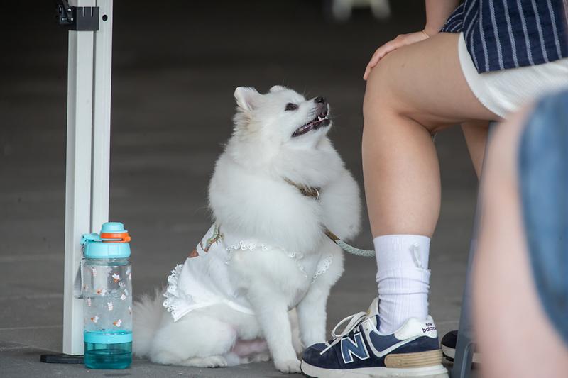 Young-6442.jpg 이미지