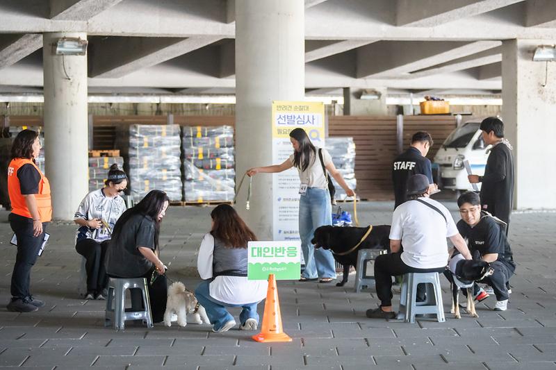 Young-6516.jpg 이미지