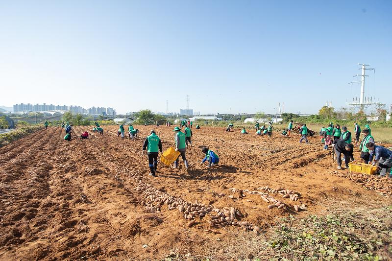 Young-7818.jpg 이미지