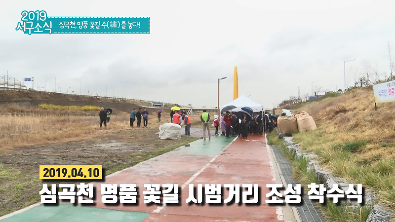 [2019 서구소식 08회] - 심곡천, 명품 꽃길 수(繡) 를 놓다! 사진