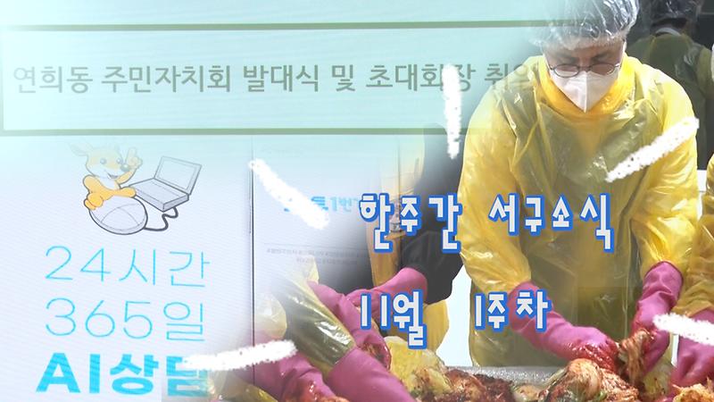 한주간 서구소식 11월1주차 사진