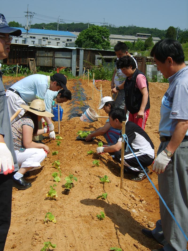 검단4동사진1.jpg 이미지