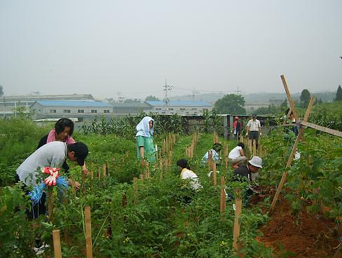 검단4동2.jpg 이미지