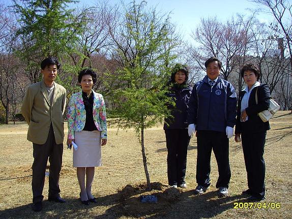 내나무.jpg 이미지