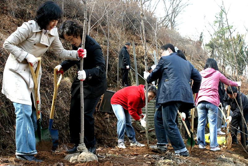 식목행사.jpg 이미지