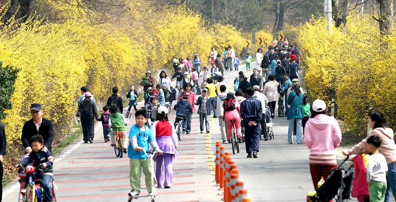 승학길산책.jpg 이미지