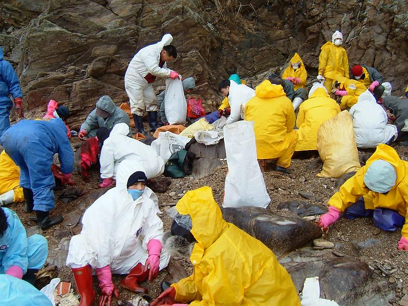 태안(2).jpg 이미지