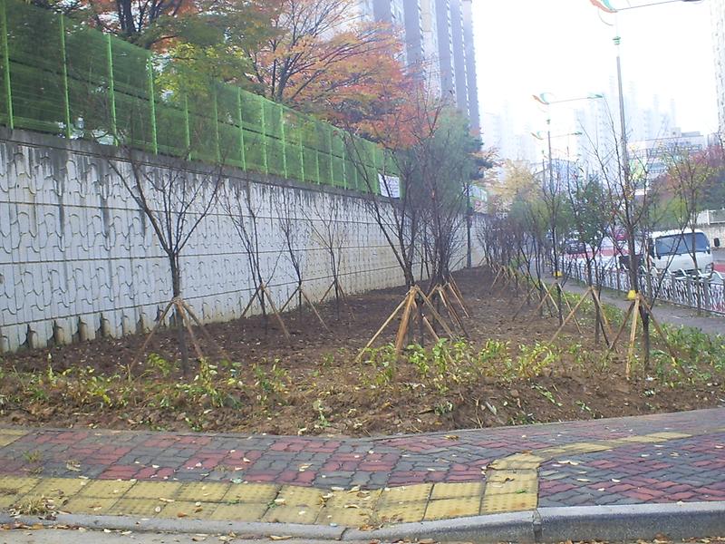 아름다운 서구 가꾸기.JPG 이미지