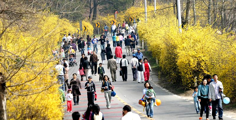 승학축제1.jpg 이미지