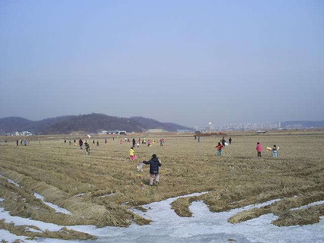 검단2동 연날리기2.JPG 이미지