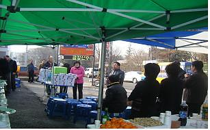 새봄맞이 윷놀이.jpg 이미지