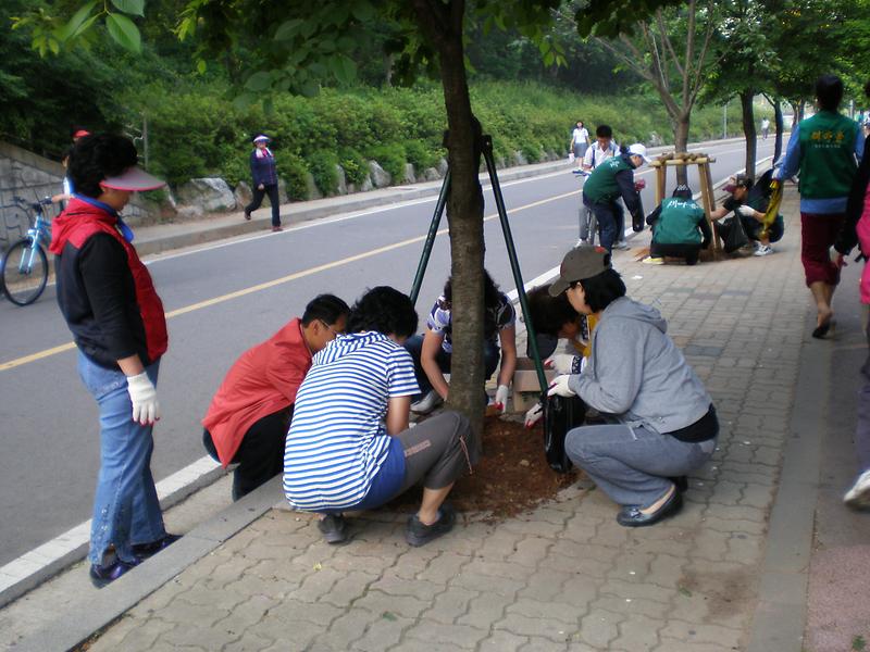 검단2동_문화의거리 코스모스 파종.JPG 이미지