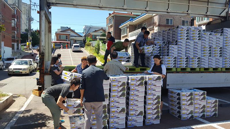 추풍령면_우수농산물_판매_3.jpg 이미지