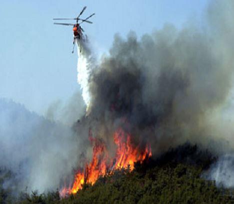 겨울철_산불방지_주력.jpg 이미지