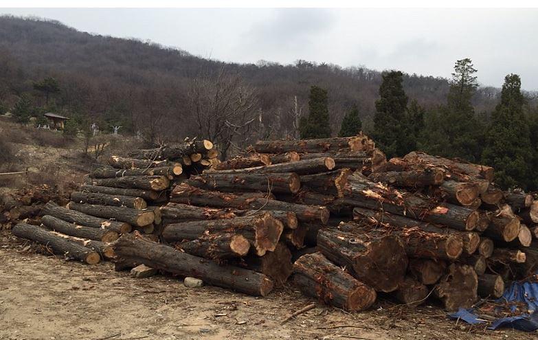 폐목재_활용_등산정비.jpg 이미지