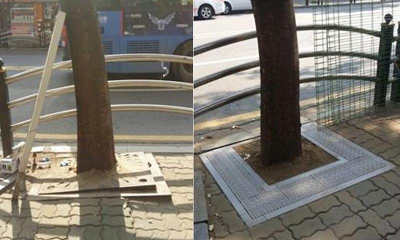 1_가로수보호판_정비_전후_사진.jpg 이미지