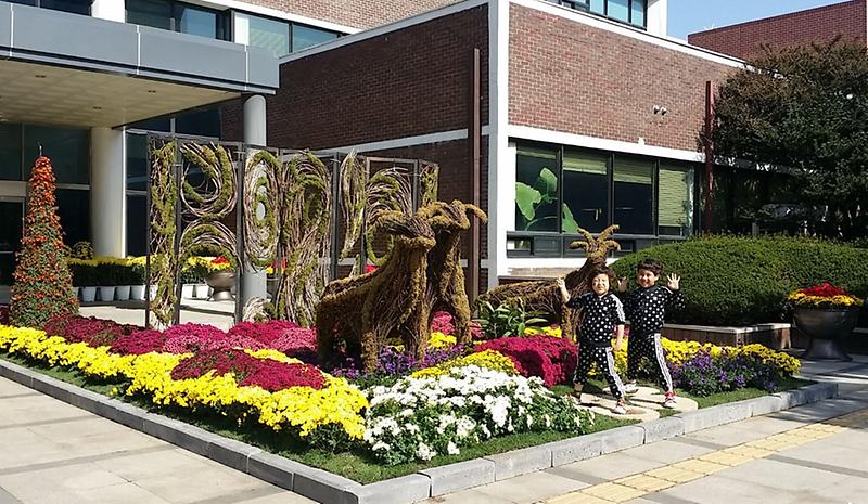 1_서구,_청사_내_가을맞이_한마당_행사_열려.jpg 이미지