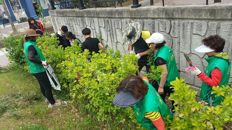 청라1동,_무궁화_꽃길_만들기_행사.jpg 이미지