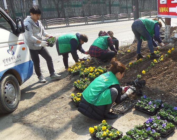 검단2동_새봄맞이_꽃길_조성_초화류_식재.jpg 이미지