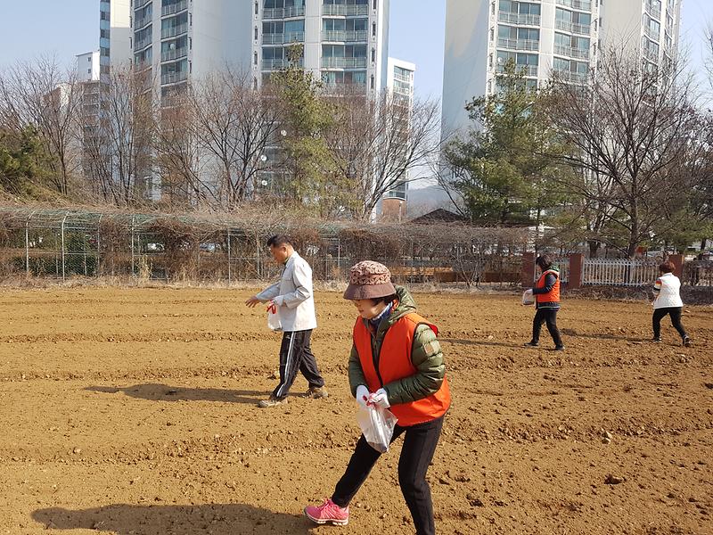 검단3동_아름다운_꽃밭만들기_사업_추진.jpg 이미지