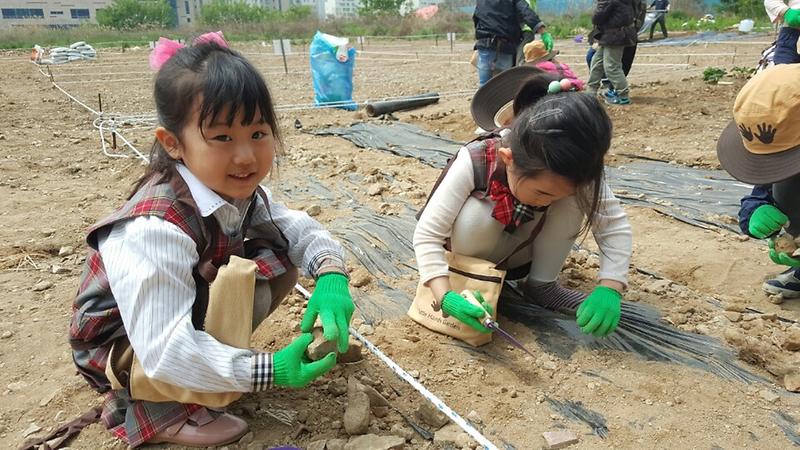 인천_서구,_친환경_도시농업_체험학습장_프로그램_운영.jpg 이미지